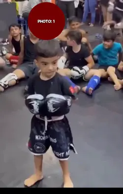 Knockdown 