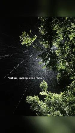 Caption & màu 