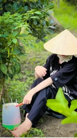 Ruou hồng nâng ly