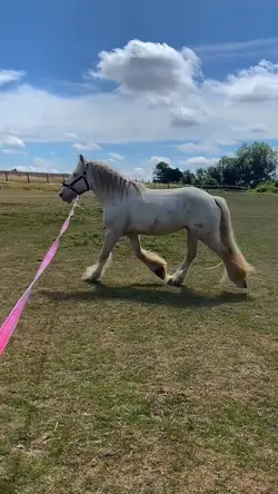 Rumpo 💞