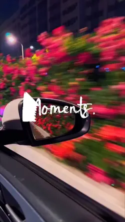 ❀moments❀