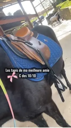 Des 10/10