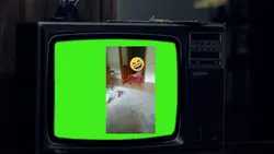twój program 