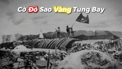 Cờ Đỏ Sao Vàng 