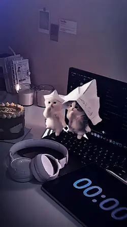 KUCING 2 FOTO 