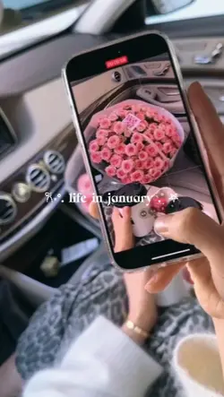 Januari dump 