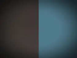 2人用
