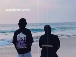 কেড়ে নিলে সব আমার