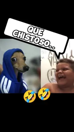 "Foto chistoso"