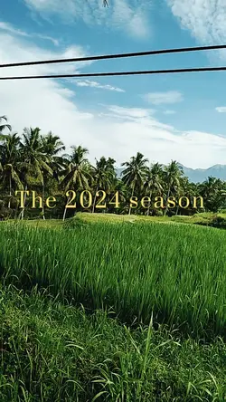 Recap 2024 