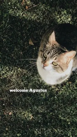 welcomeagustus 2026