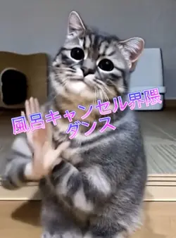 風呂キャンセル界隈ダンス