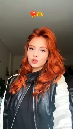Yeni Şablon