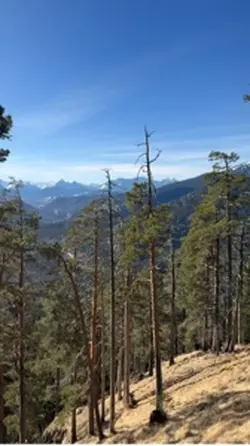 Hiking day