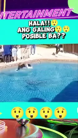 GALING NG ASO