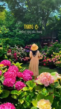 Chào tháng 8