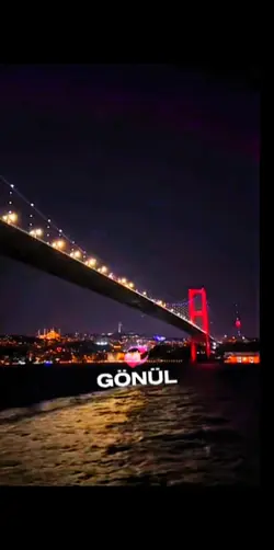 Aldırma Gönül
