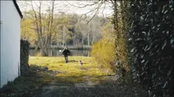 Dog best friends