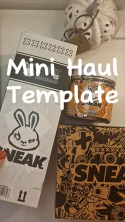 Mini Haul Template