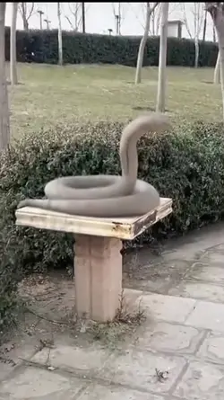 prank patung cobra