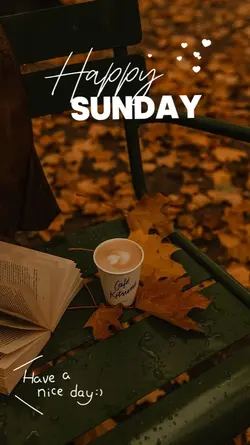 Happy Sunday 