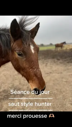 Merci prouesse 🫶🏼🫶🏼