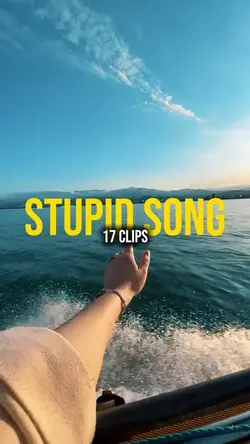 Stupid Song 17 Clips