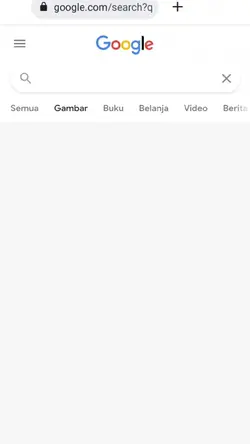 google search trend