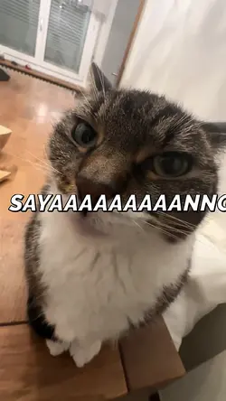 sayaaaaaaaang