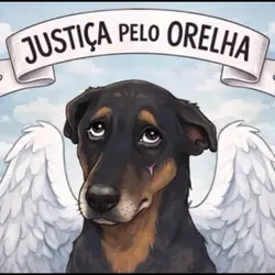 Orelha