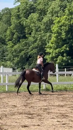 His rising canter 😍