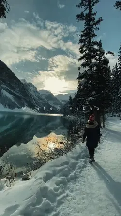 Winter Vibes