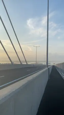 CCLEX BRIDGE