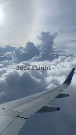 Safe Flight