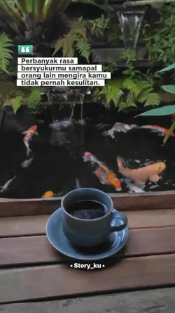 Story Hari ini 