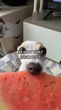 Im not dat innocent 