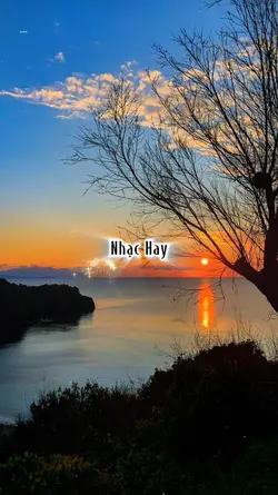 NHẠC HAY