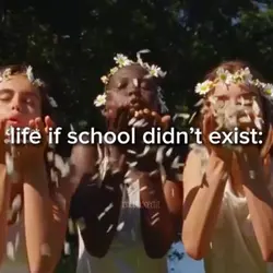 life if _