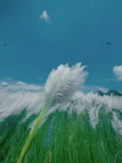 sad slowmotion 