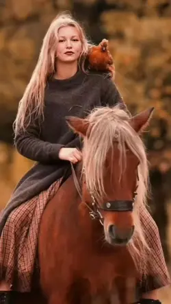 andamento a cavalo 