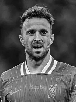 diogo jota