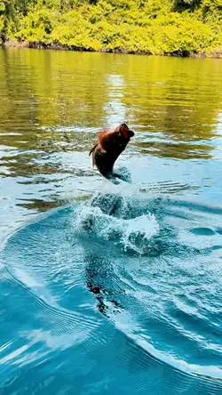 FISHING