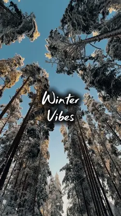 Winter vibes
