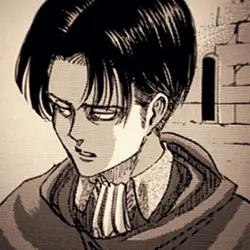 Levi edit 