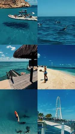 summer 2025