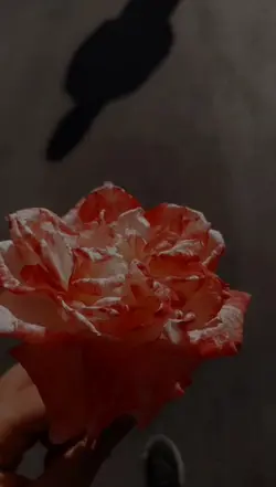 Yeni akım geldi 