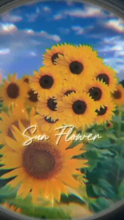 Sun Flower