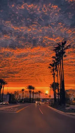 aesthetic sunset