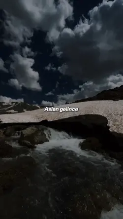 ormanınızdanselamlar