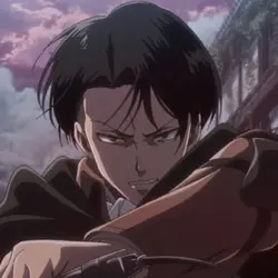 Levi